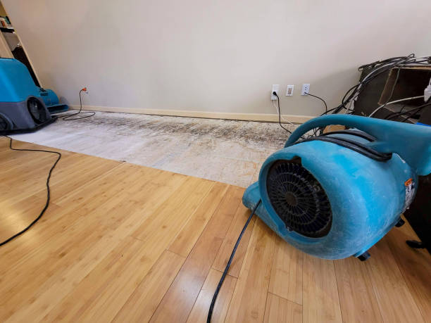 Professional Water Damage Repair technician working in White Hall, IL